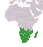 Mapa zasigu lwa